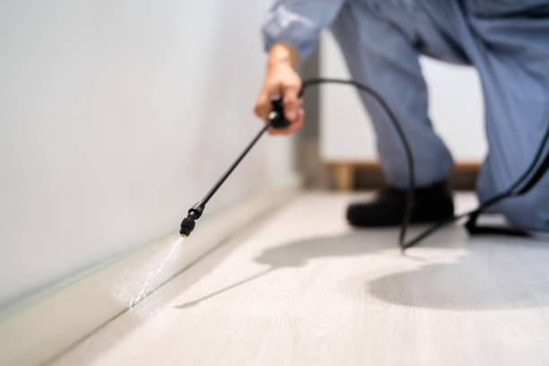 Licensed Mosquito Control service in Burlington, IA - Show Me Pest Control