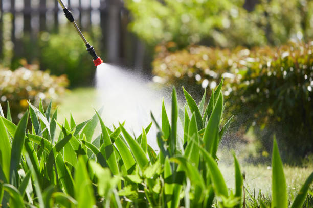 24/7 Emergency Mosquito Control experts in Burlington, IA