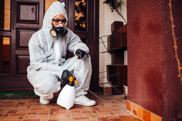 Reliable Mosquito Control contractor in Burlington, IA by Show Me Pest Control