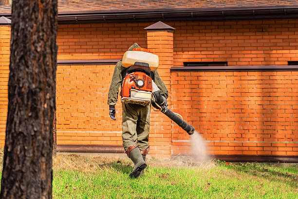 Top rated local Mosquito Control specialists in Burlington, IA